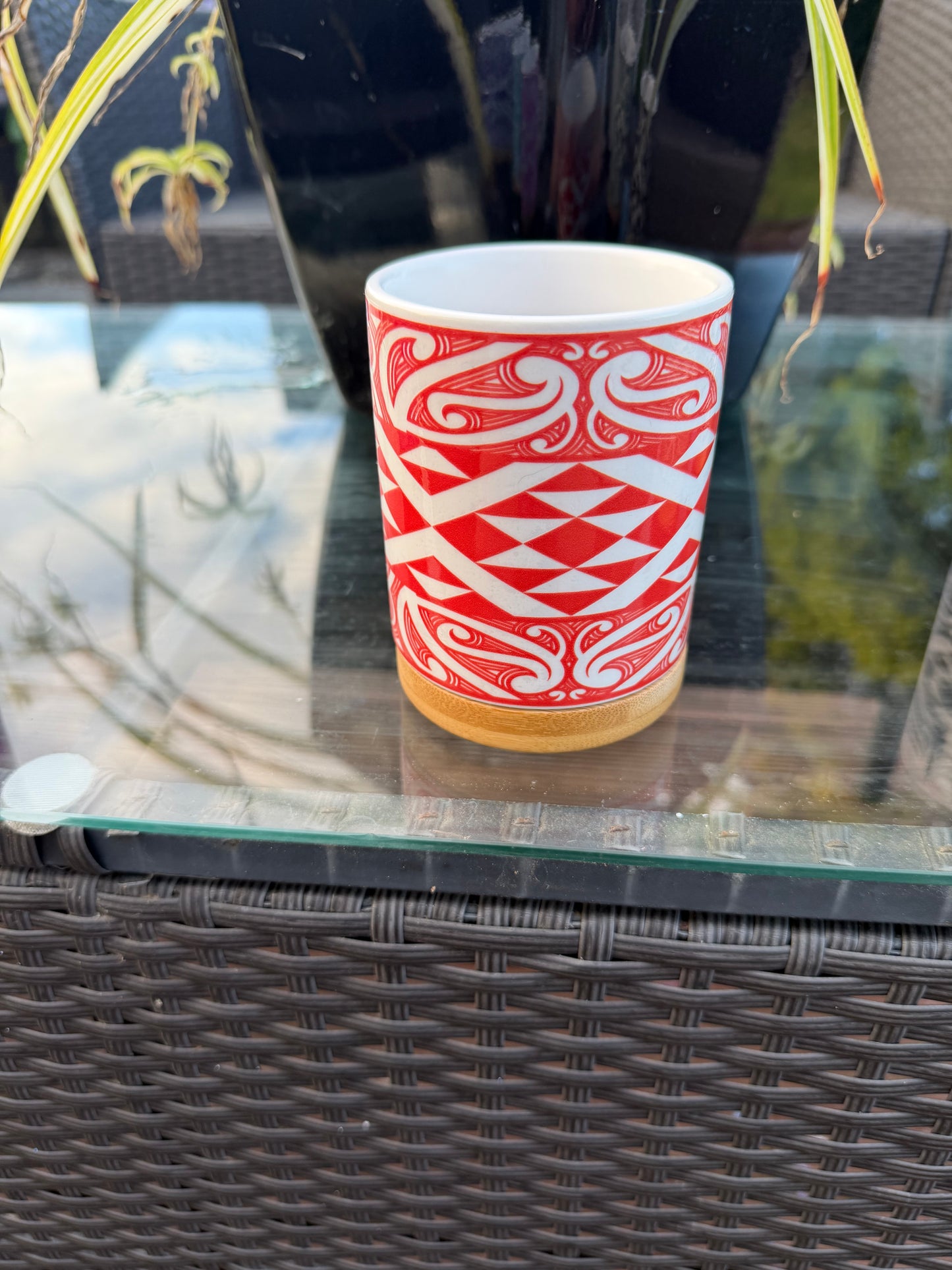 He Kapu Whakamahinga Katoa