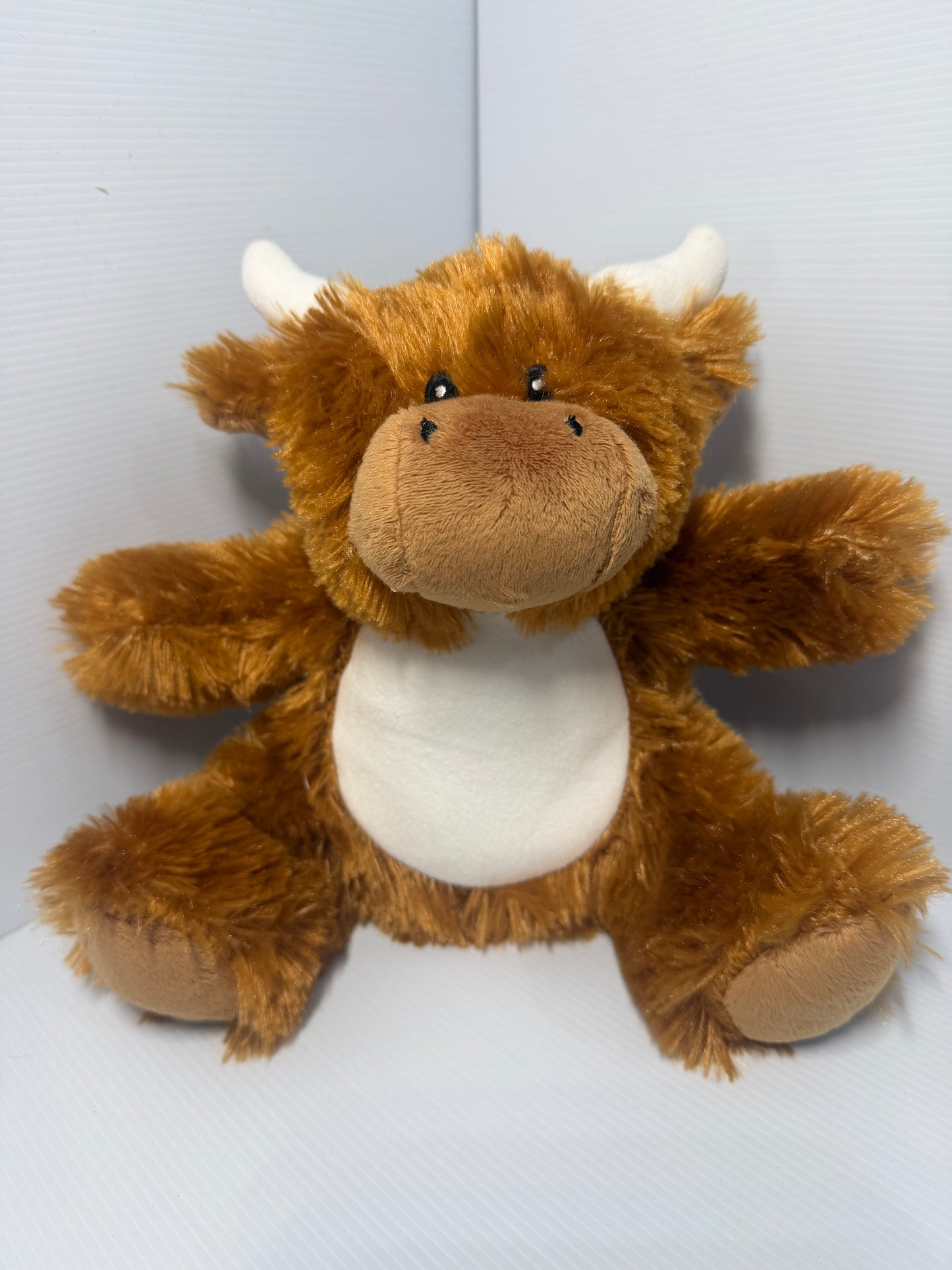 Personalised Teddies