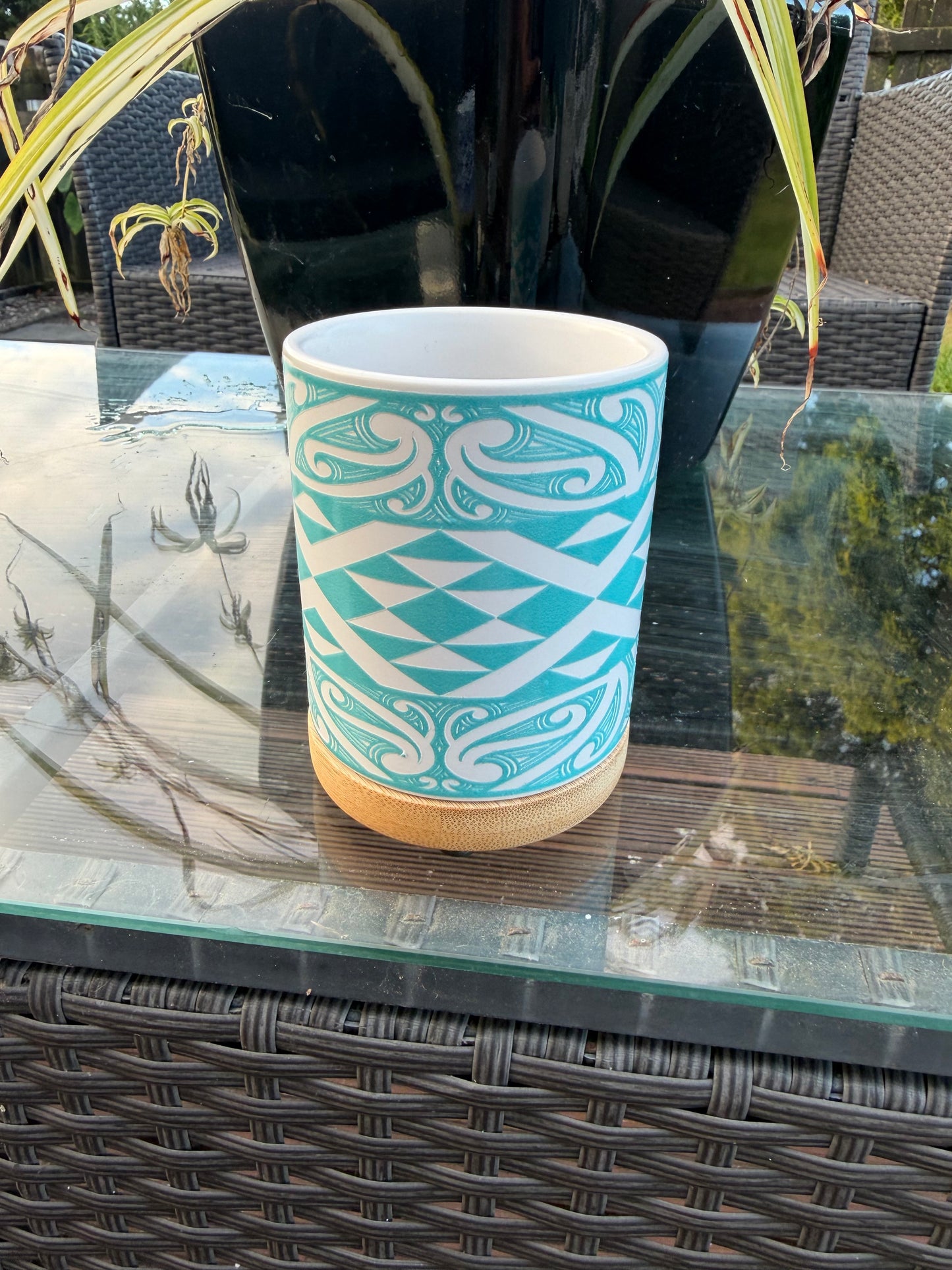 He Kapu Whakamahinga Katoa