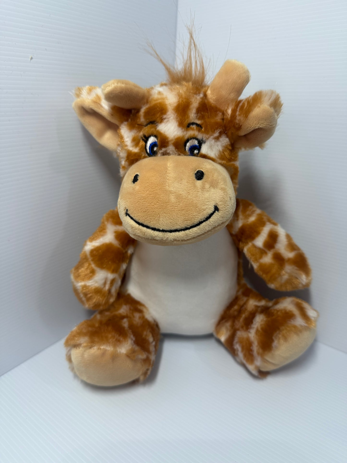 Personalised Teddies
